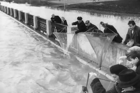 9 мая 1966 года в Новосибирске произошёл сильный потоп 9 мая 1966 года в Новосибирске произошёл сильный потоп