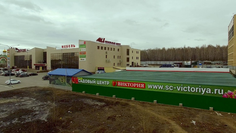 Виктория Магазин Саженцев Челябинска Виктория Магазин Саженцев Челябинска