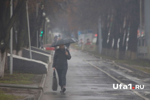 Отправляясь погулять, не забудьте зонтик Отправляясь погулять, не забудьте зонтик