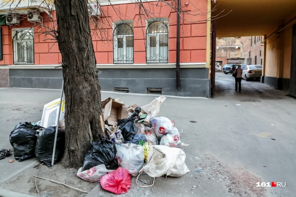 Решение о согласовании митинга должны прислать в течение трех дней Решение о согласовании митинга должны прислать в течение трех дней