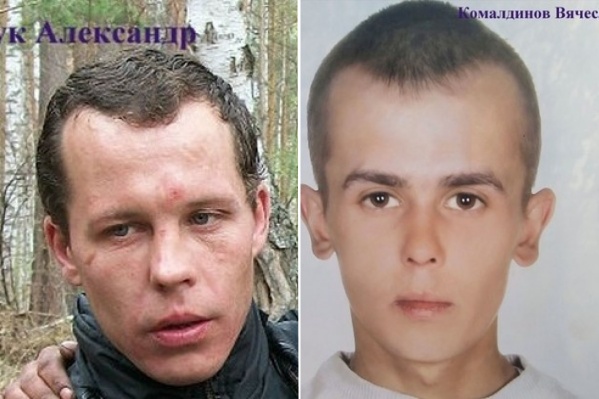 След пропавших обрывается в лесном массиве у деревни Кучердаевка След пропавших обрывается в лесном массиве у деревни Кучердаевка 
