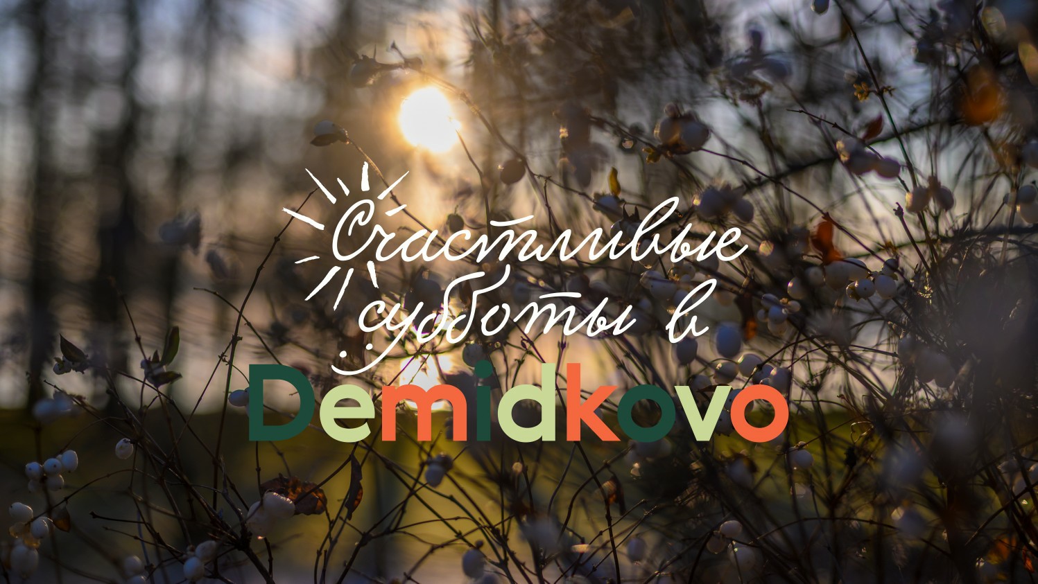 Мирной субботы