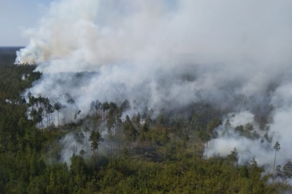 Дым разнесло ветром Дым разнесло ветром