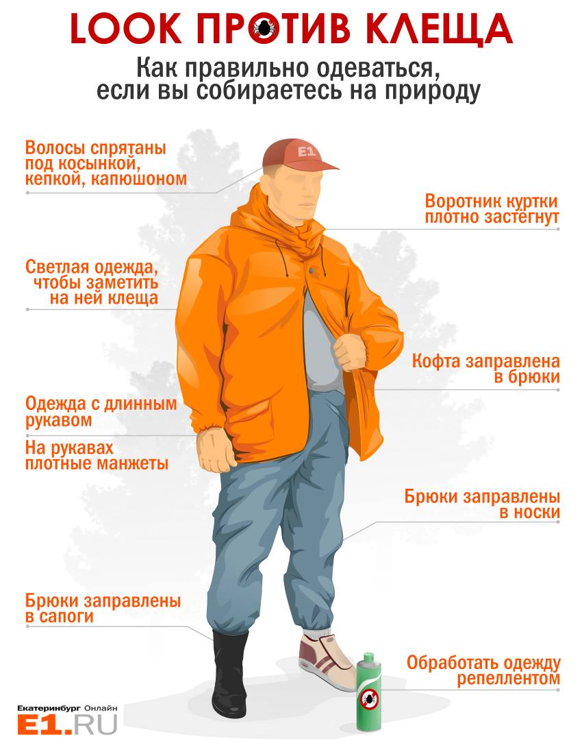 От клеща не зарекайся: инструкция E1.RU для уральского туриста