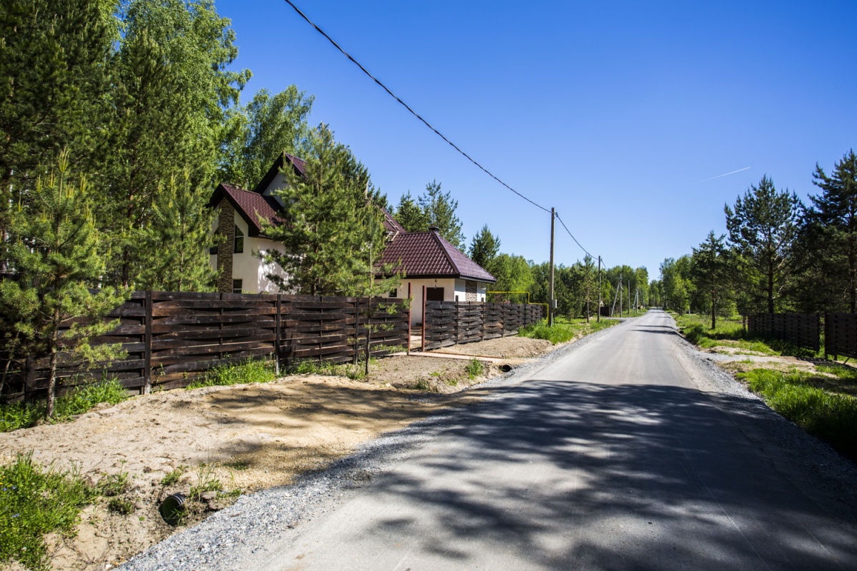 Гавайи в сибирском лесу