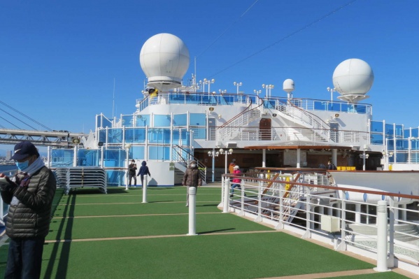 С лайнера Diamond Princess эвакуировали уже более 200 человек С лайнера Diamond Princess эвакуировали уже более 200 человек