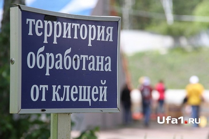 Специалисты рассказали, как не стать жертвой паразита и можно ли получить страховку после укуса Специалисты рассказали, как не стать жертвой паразита и можно ли получить страховку после укуса