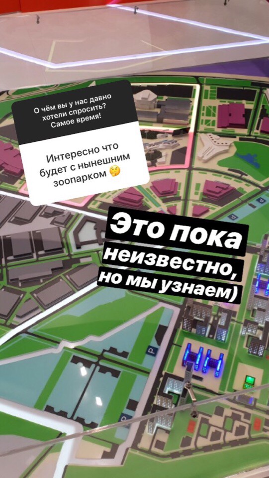 Откуда у вас кошка и когда будет лето? О чём читатели E1.RU спрашивали нас в новом сервисе Instagram