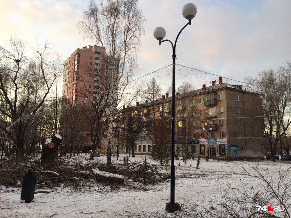 Поверх пеньков на столбах натянуты гирлянды. Видимо, именно так район готовят к Новому году Поверх пеньков на столбах натянуты гирлянды. Видимо, именно так район готовят к Новому году