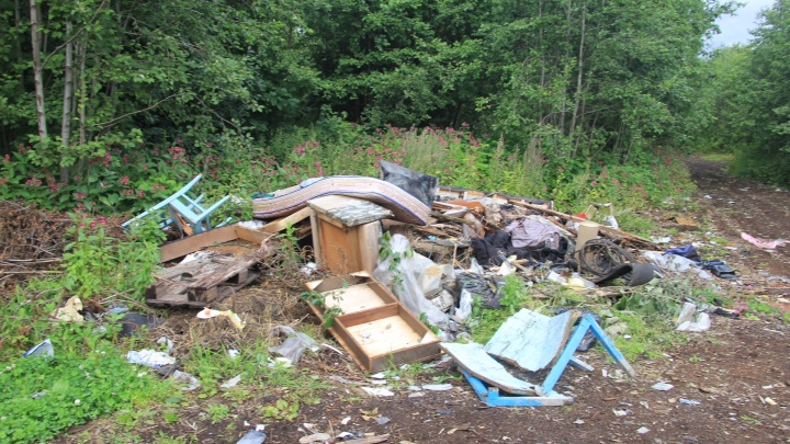 75 тонн за 150 тысяч рублей: до конца года с Маймаксанского кладбища вывезут мусор