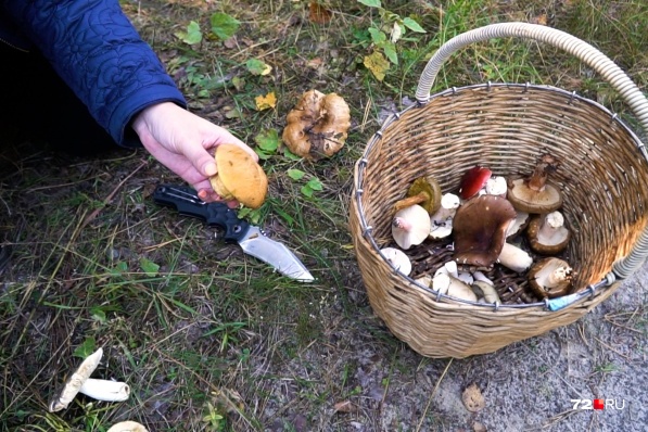 Немного, но на вкусный ужин точно хватит Немного, но на вкусный ужин точно хватит