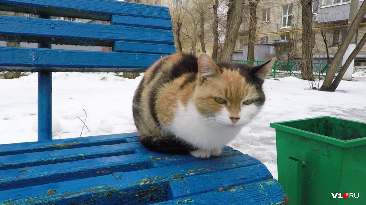 Давайте посмотрим, какие суммы по итогам января приходится платить вам и вашим соседям?