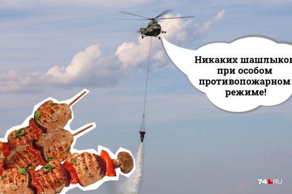 Шашлыки в «особый сезон» — деликатес для особенно рискованных, готовых заплатить за порцию крупную сумму Шашлыки в «особый сезон» — деликатес для особенно рискованных, готовых заплатить за порцию крупную сумму