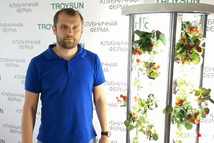 Желание круглый год есть клубнику у Алексея Ткаченко переросло в создание уникальной фермы Желание круглый год есть клубнику у Алексея Ткаченко переросло в создание уникальной фермы