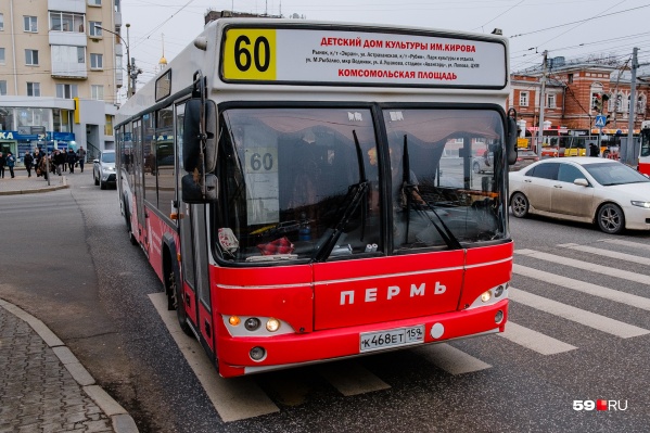 Остановка пожарского пермь какие автобусы ходят