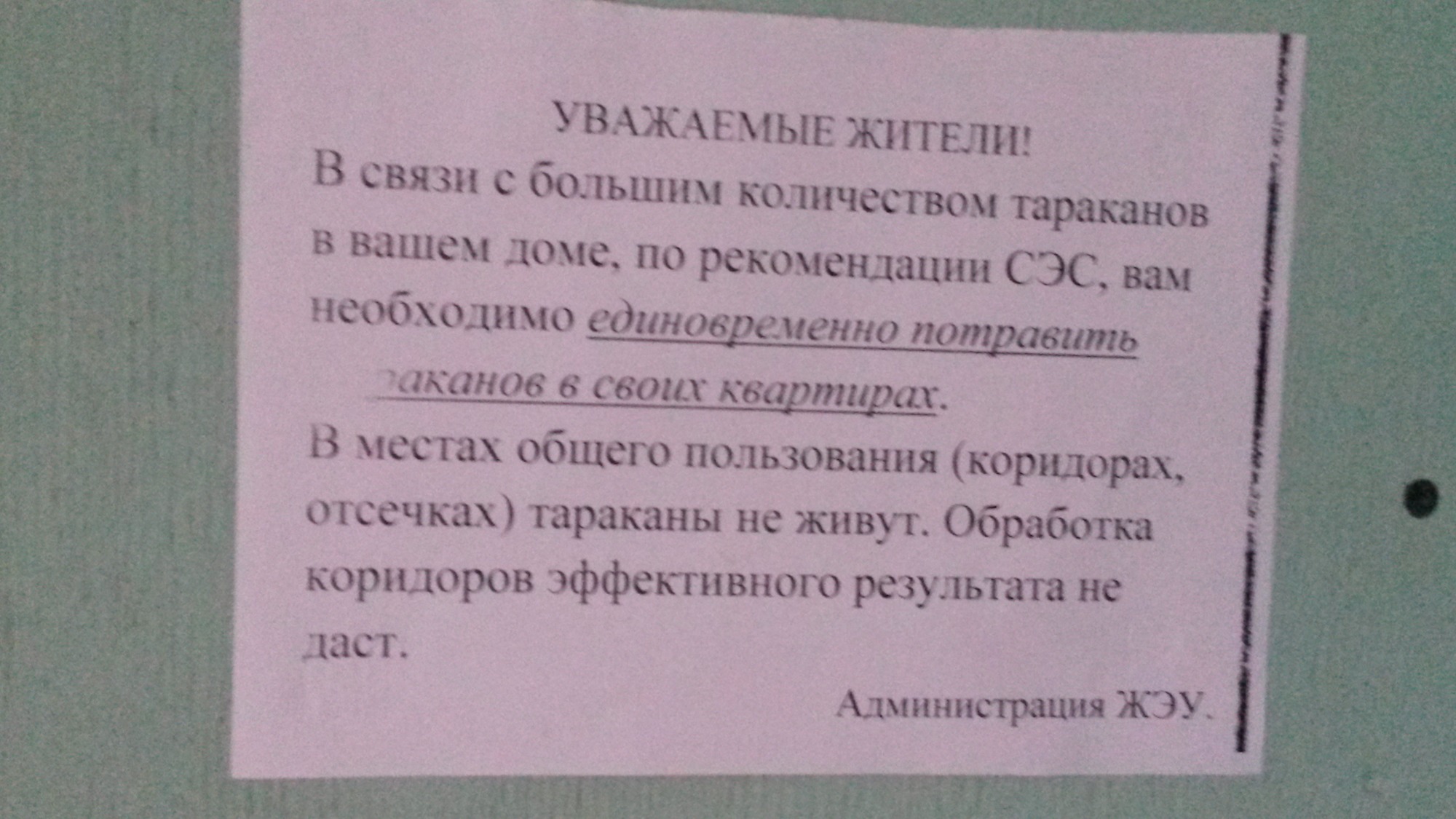 Коммунальщики не нашли насекомых в подъездах и не стали их травить Коммунальщики не нашли насекомых в подъездах и не стали их травить