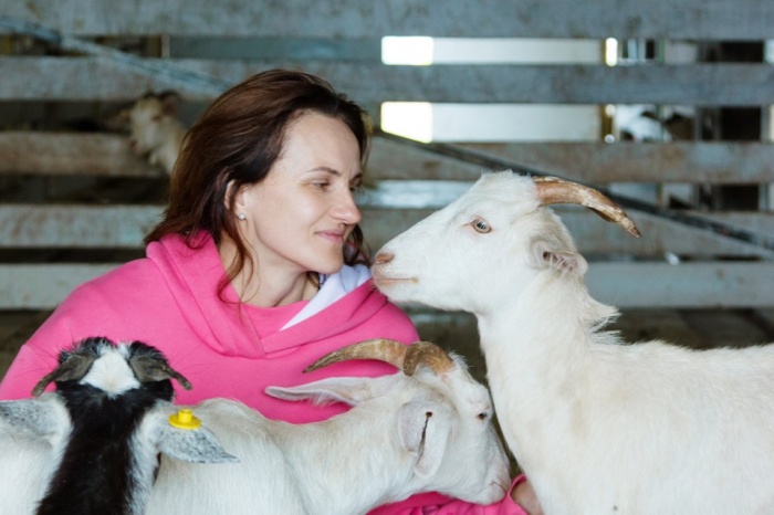 Светлана Корабель сумела защитить свои права на изображение козы Светлана Корабель сумела защитить свои права на изображение козы