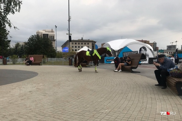 Пожилая женщина просит разобраться с нашествием нелегальных предпринимателей и не проводить шумные праздники под окнами жилых многоэтажек Пожилая женщина просит разобраться с нашествием нелегальных предпринимателей и не проводить шумные праздники под окнами жилых многоэтажек