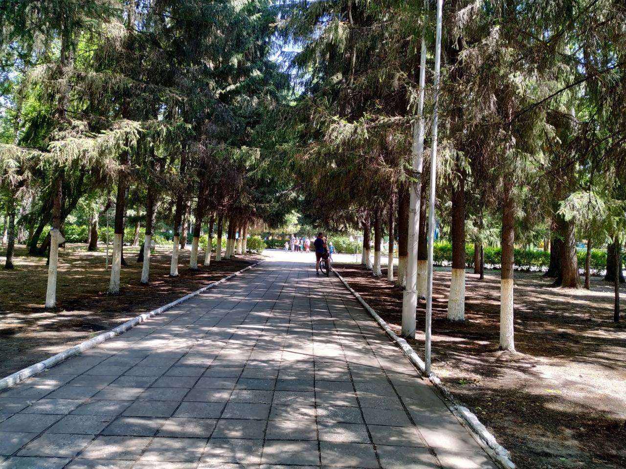 Плитке в парке столько же лет, сколько и самому ЦПКиО Плитке в парке столько же лет, сколько и самому ЦПКиО