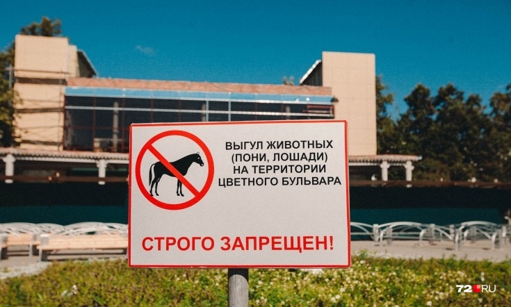 Такая табличка появилась на Цветном бульваре два года назад — летом 2017-го. Но вот животные никуда не делись Такая табличка появилась на Цветном бульваре два года назад — летом 2017-го. Но вот животные никуда не делись
