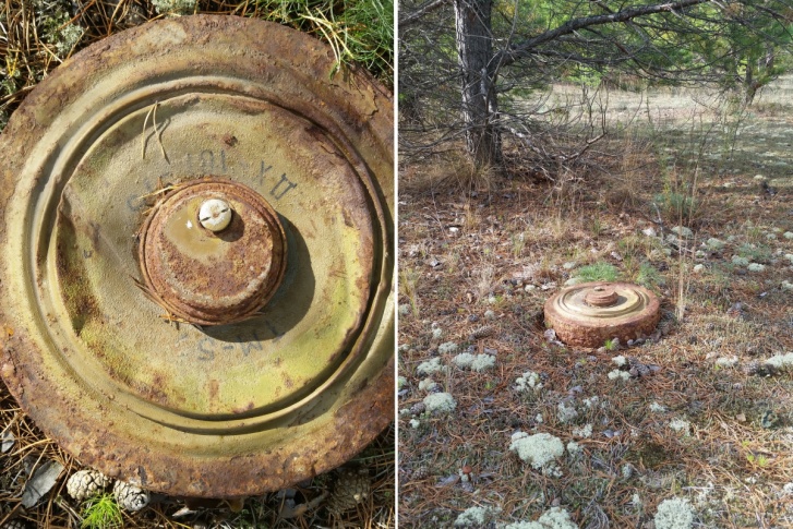 Эти противотанковые мины нашли недалеко от Тюмени несколько дней назад