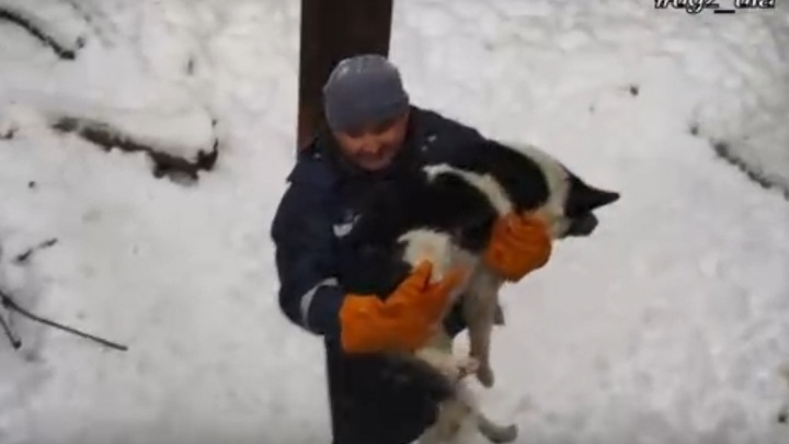 Уфимские спасатели помогли собаке выбраться из западни