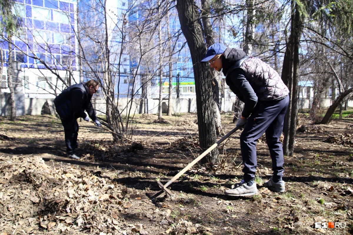 Ученики с родителями расчистили