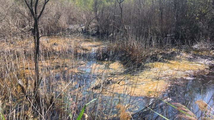 Эпидемия кишечных инфекций — это цветочки: экологи сообщили об опасности «нефтяного» озера