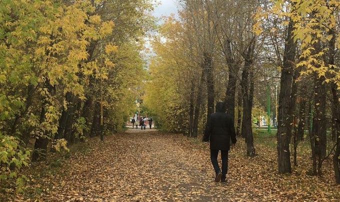 Первая неделя октября в Красноярске будет дождливой