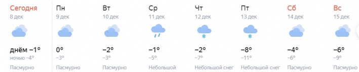 Вот так выглядит аномальное тепло в Сибири зимой
