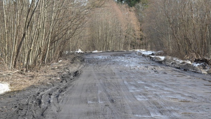 В Приморском и Вельском районах до конца года отремонтируют три подъезда к дачным посёлкам