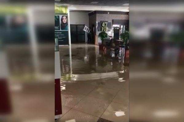 Воды — по щиколотку Воды — по щиколотку