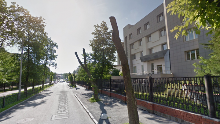 Распил распила: кленовую аллею в центре Екатеринбурга сначала обрезали, а потом вырубили