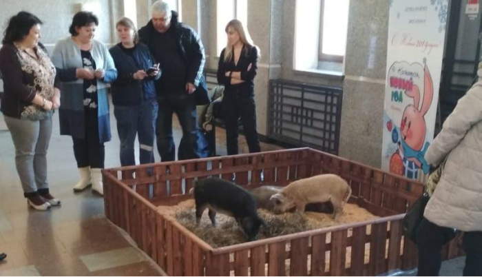 С ними можно было бесплатно сфотографироваться С ними можно было бесплатно сфотографироваться
