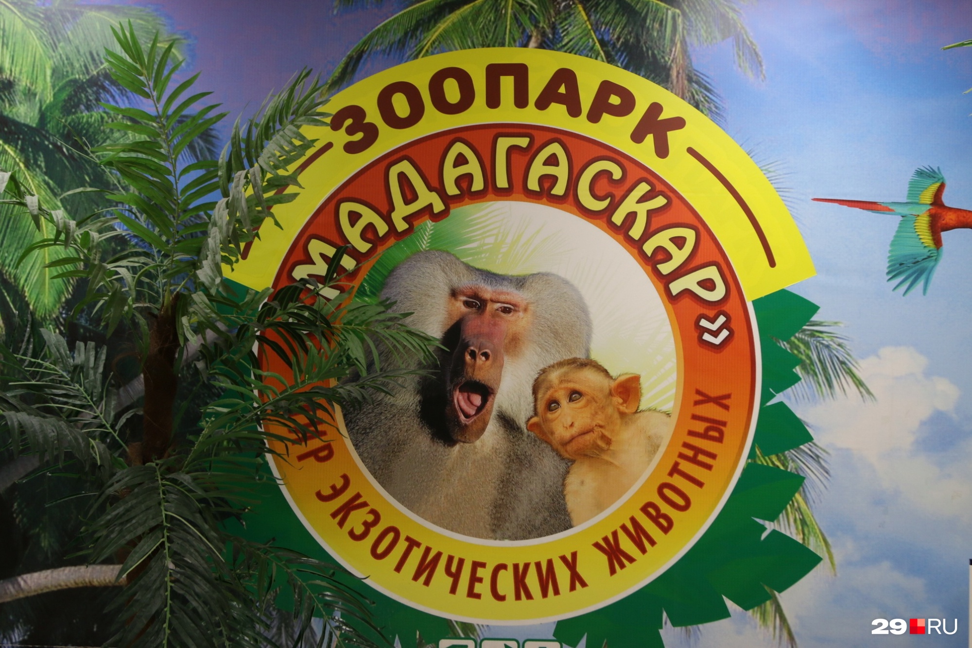 Контактный зоопарк находится в одном из торговых центров 