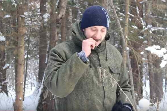 Лесник рассказал, что можно есть, чтобы выжить в снежном лесу Лесник рассказал, что можно есть, чтобы выжить в снежном лесу