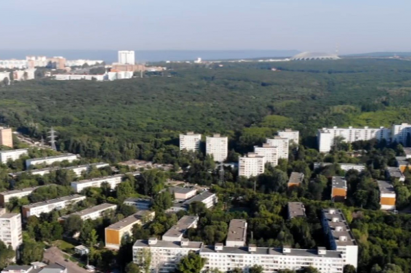 Самарцы добились, что парк 60-летия Советской власти оставили в первозданном виде Самарцы добились, что парк 60-летия Советской власти оставили в первозданном виде