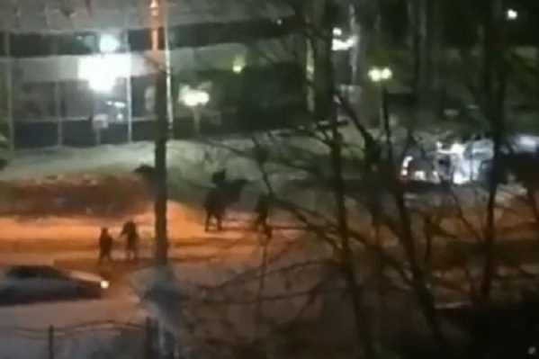 Жители соседних домов были шокированы происходящим и сняли драку на видео Жители соседних домов были шокированы происходящим и сняли драку на видео