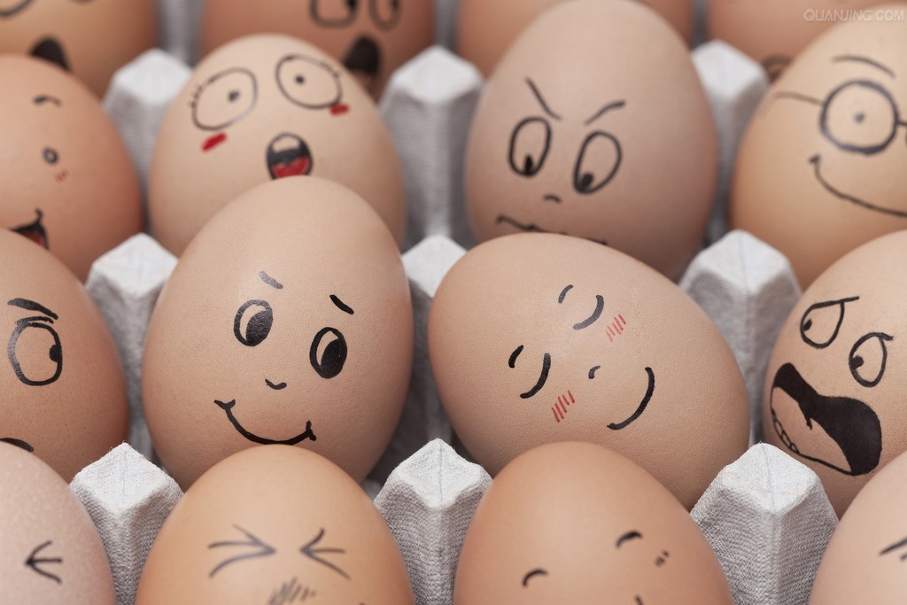 «Чьи яйца?»: тест NN.RU на знание птиц накануне Пасхи
