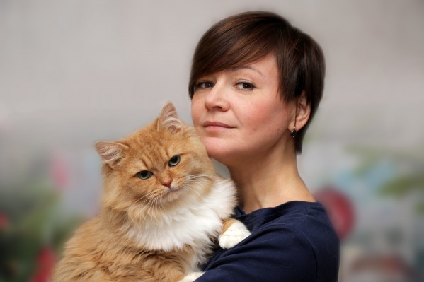 Дома у Светланы живут три кота Дома у Светланы живут три кота