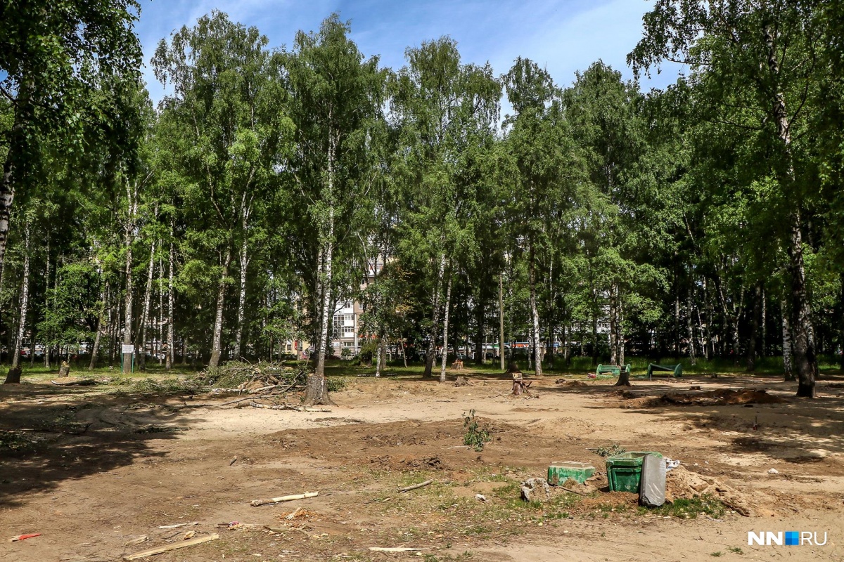 парк пушкина в нижнем новгороде