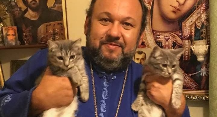 "Собака разорвала их мать": настоятель храма из Екатеринбурга спас котят и ищет им дом