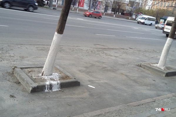 Челябинцы считают, что после побелки город превращается в деревню Челябинцы считают, что после побелки город превращается в деревню