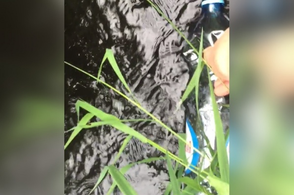 Общественница взяла пробы почерневшей воды Общественница взяла пробы почерневшей воды 