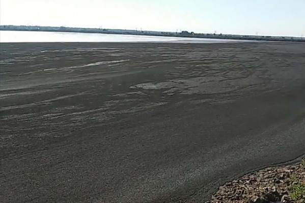 Ущерб Аргаяшскому району от загрязнения земель куриным помётом оценили почти в 30 млн рублей Ущерб Аргаяшскому району от загрязнения земель куриным помётом оценили почти в 30 млн рублей