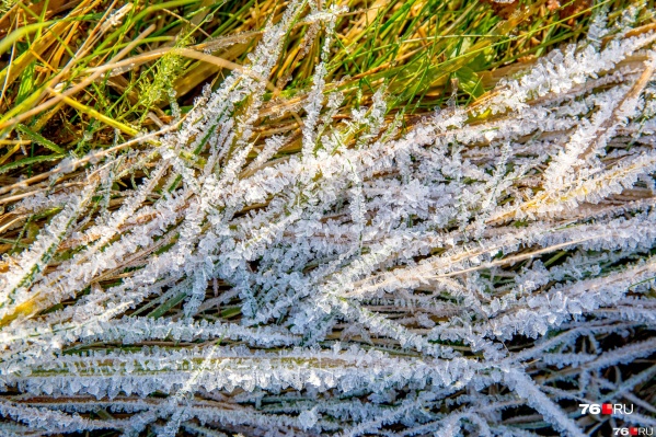 Первые заморозки — не за горами Первые заморозки — не за горами