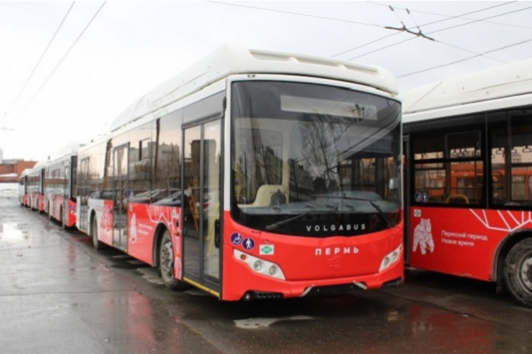 Новые автобусы частично заменят троллейбусы Новые автобусы частично заменят троллейбусы 