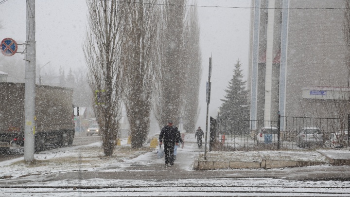 Паркуйтесь подальше от деревьев: в Башкирии объявили штормовое предупреждение