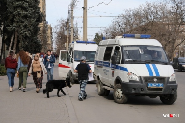 Кинологи бомбы не обнаружили Кинологи бомбы не обнаружили