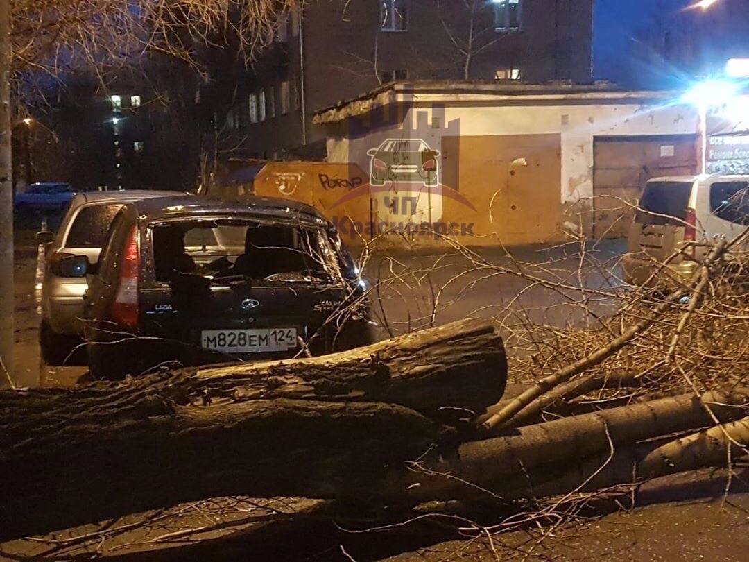 Пострадали и другие машины, припаркованные рядом: у «Калины» разбито заднее стекло Пострадали и другие машины, припаркованные рядом: у «Калины» разбито заднее стекло